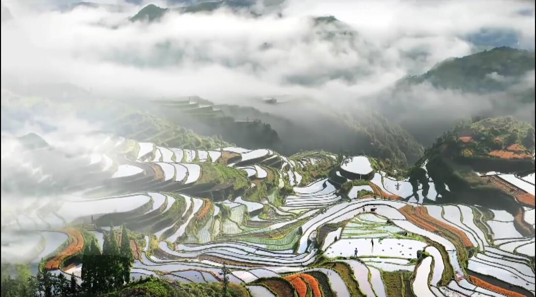 ���ѻؼ�ُ�͑�����